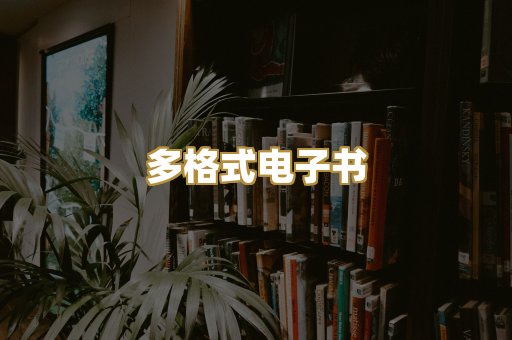 多格式电子书